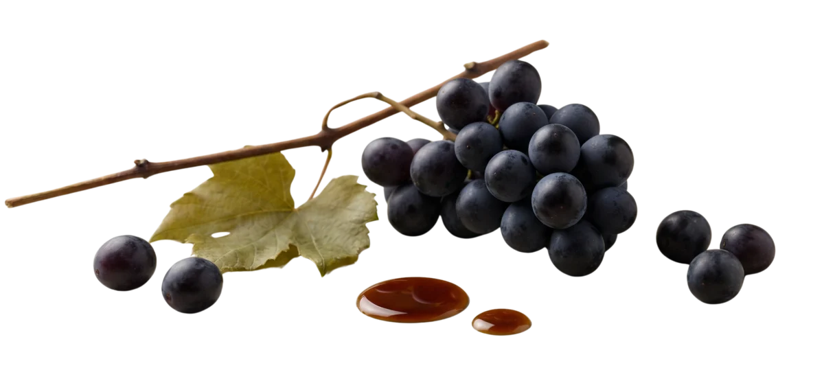 Traditional Dark Balsamic Visual traditional style dark balsamic vinegar