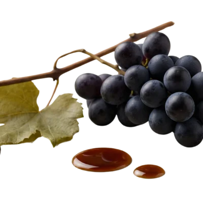 Traditional Dark Balsamic Visual traditional style dark balsamic vinegar