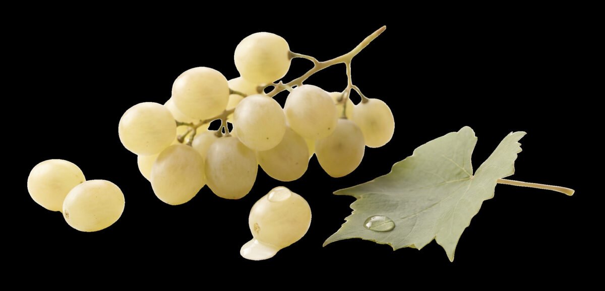 Traditional White Balsamic — 8.5 fl oz (250 mL)