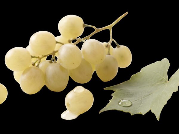 Traditional White label visual Traditional White Balsamic — 8.5 fl oz (250 mL)