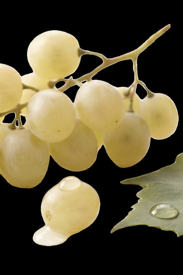 Traditional White label visual Traditional White Balsamic — 8.5 fl oz (250 mL)