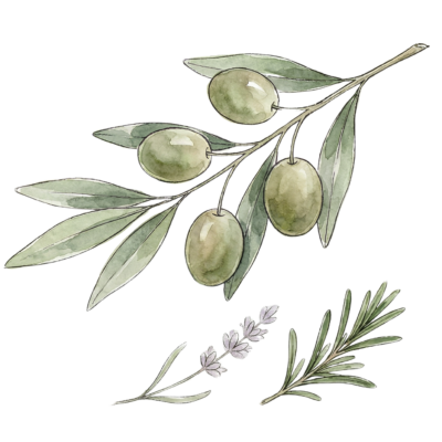 Herb de Providence EVOO visual herbs de provence extra virgin olive oil