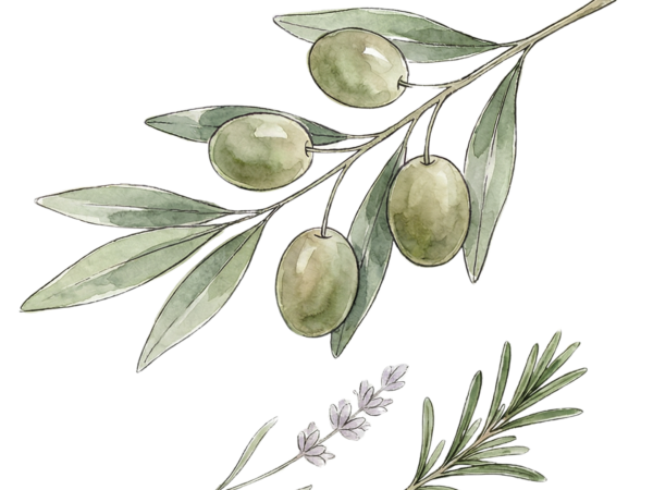 herbs de provence extra virgin olive oil