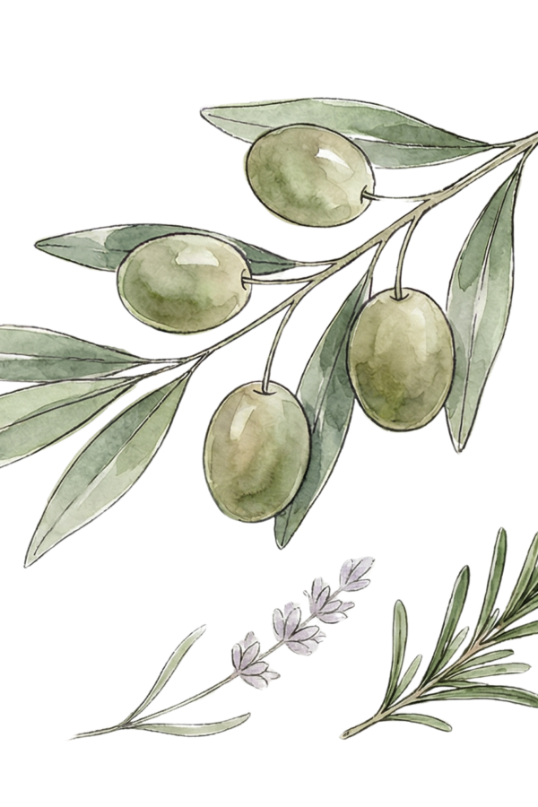 herbs de provence extra virgin olive oil