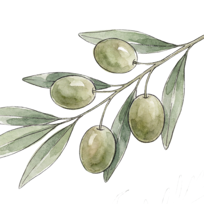 House Blend EVOO 8.5oz label visual House Blend (Tunisian) Extra Virgin Olive Oil