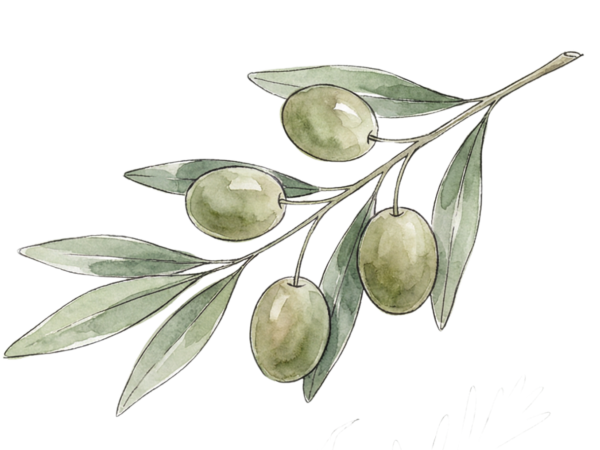 House Blend (Tunisian) Extra Virgin Olive Oil