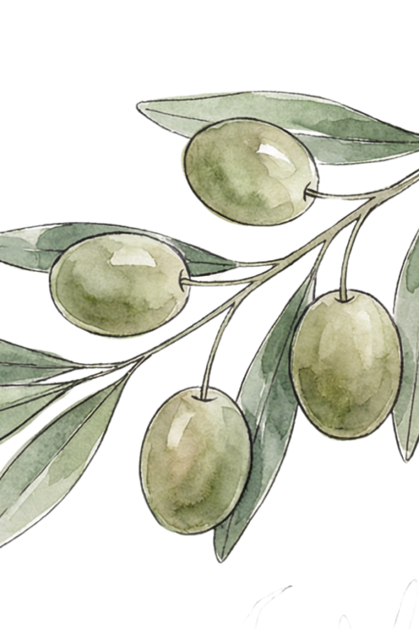 House Blend (Tunisian) Extra Virgin Olive Oil