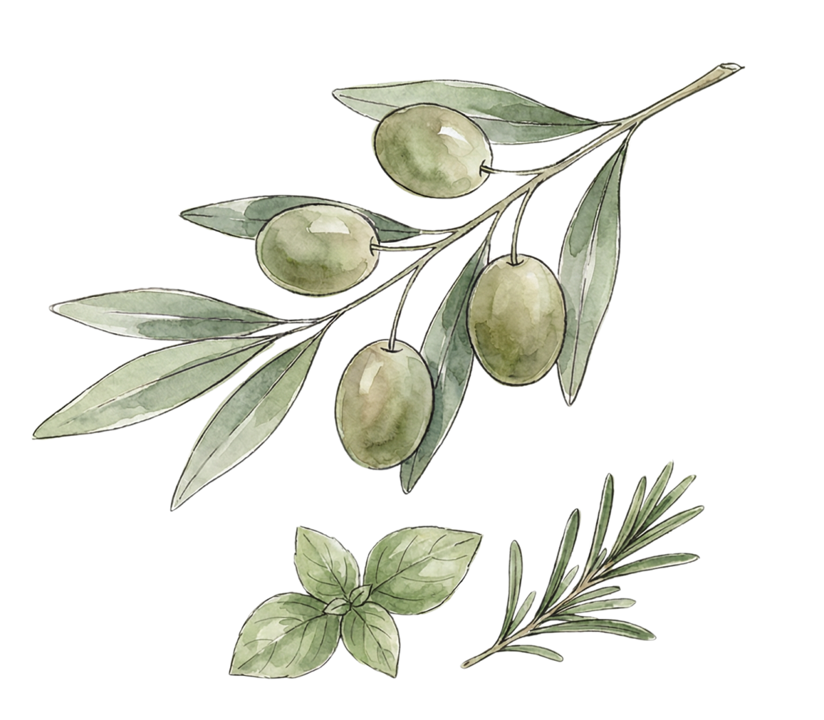 italian herb extra virgin olive oil