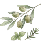 italian herb extra virgin olive oil