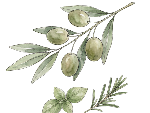 italian herb extra virgin olive oil