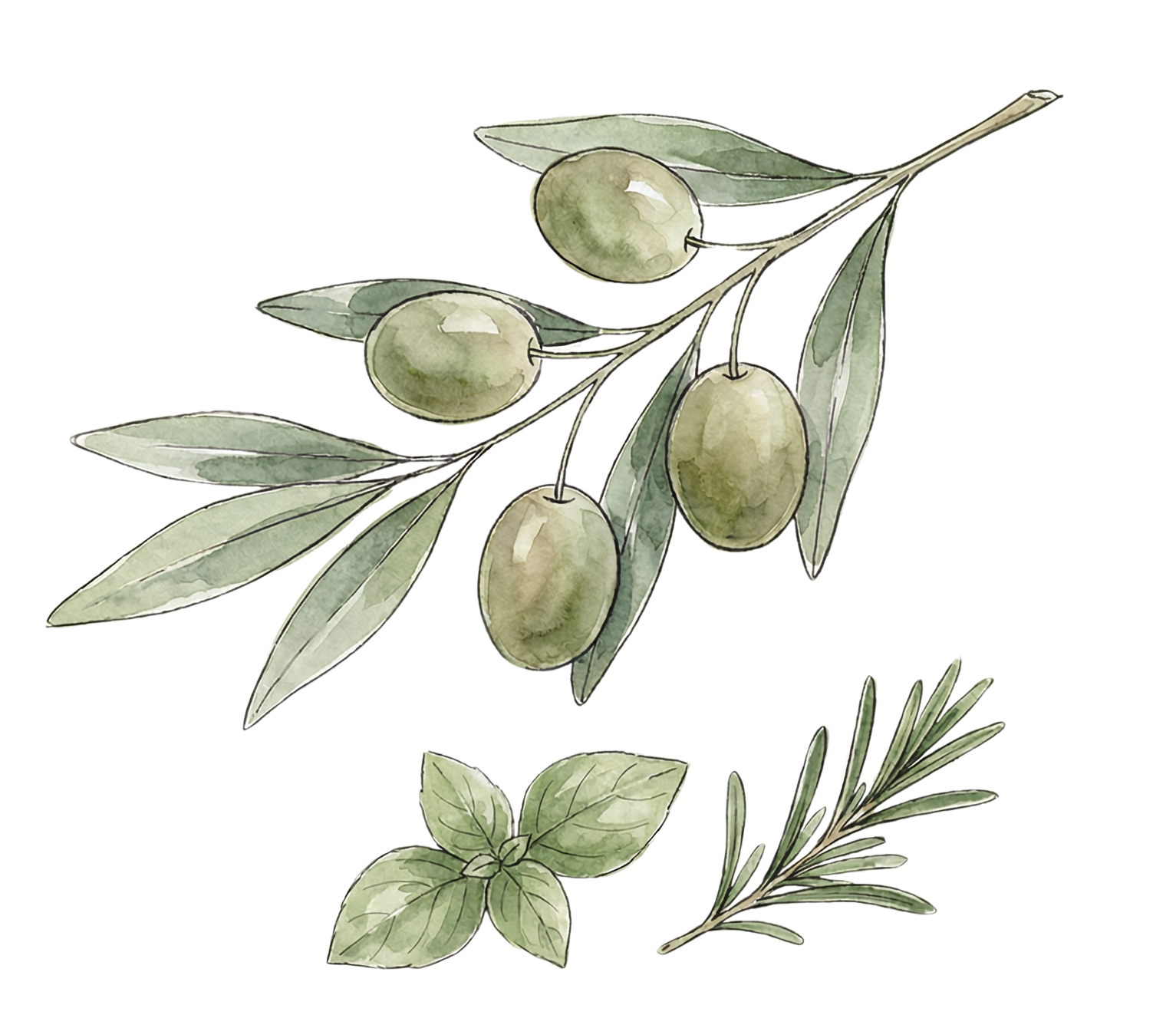 italian herb extra virgin olive oil