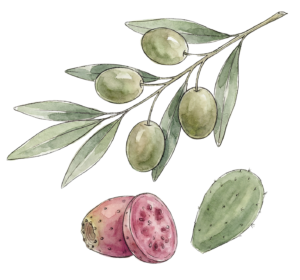 prickly pear extra virgin olive oil