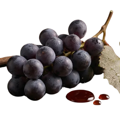 Lambrusco wine vinegar