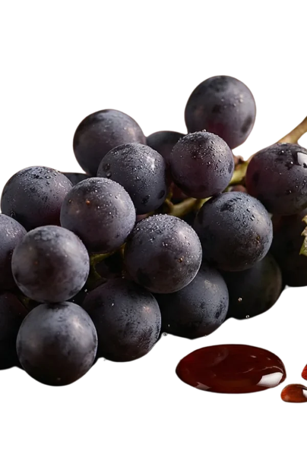 Lambrusco wine vinegar