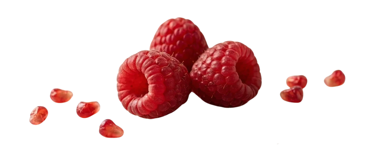 Rasberry Visual