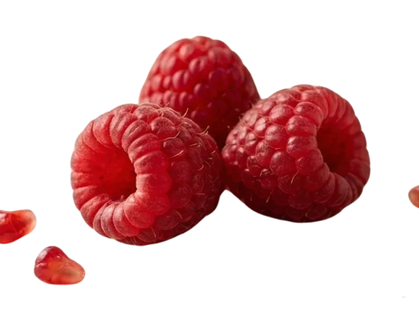 Rasberry Visual