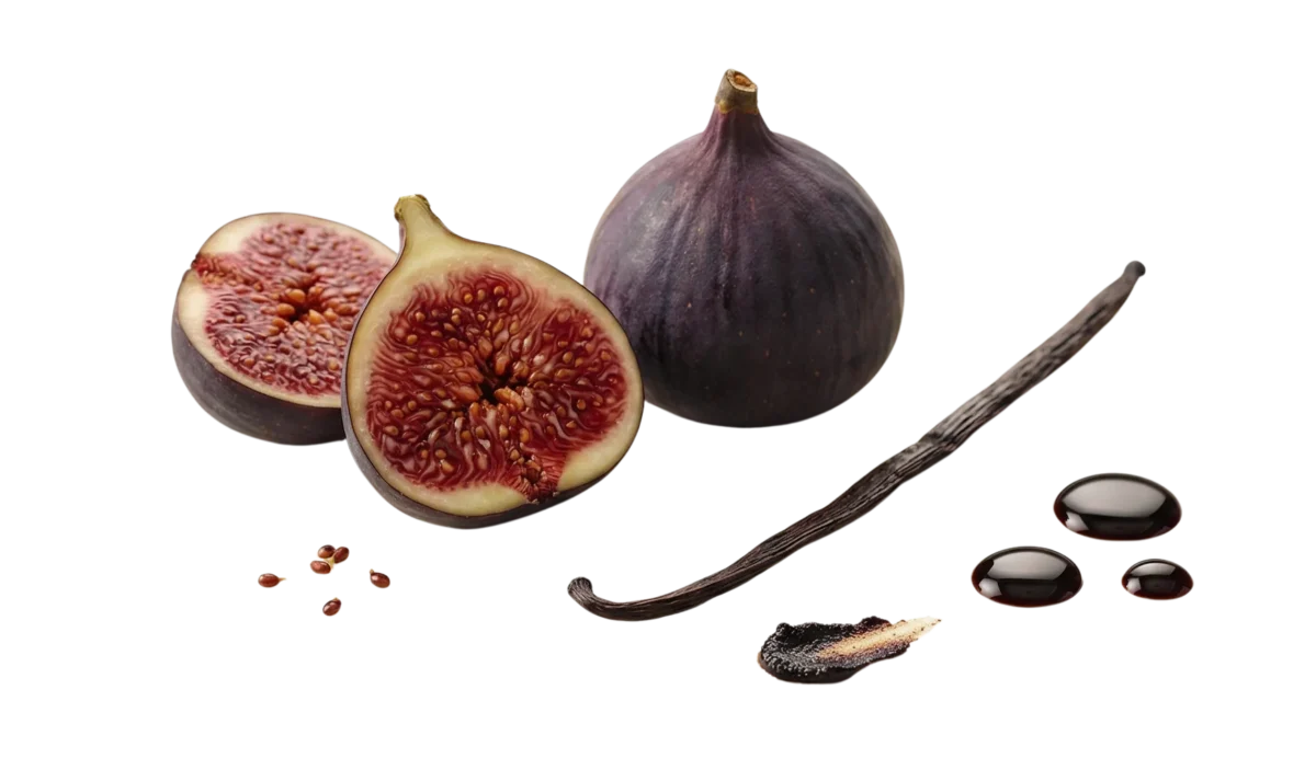 VANILLA FIG visual