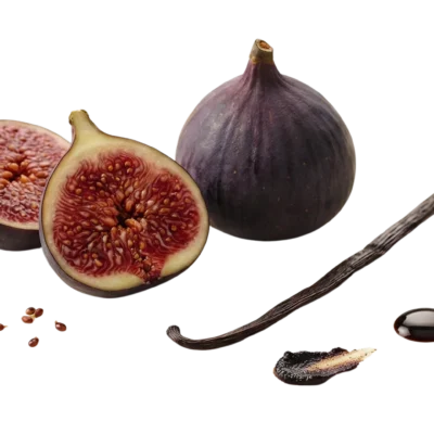 VANILLA FIG visual