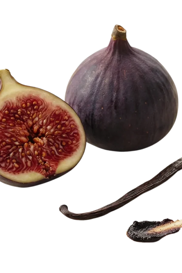 VANILLA FIG visual
